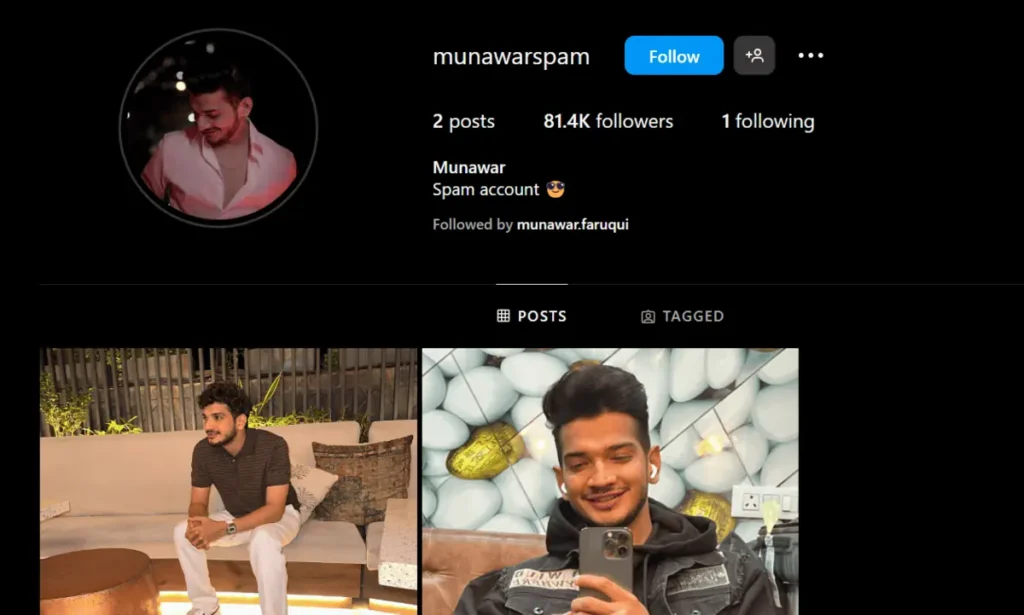 Munawra Faruqui (Instagram)